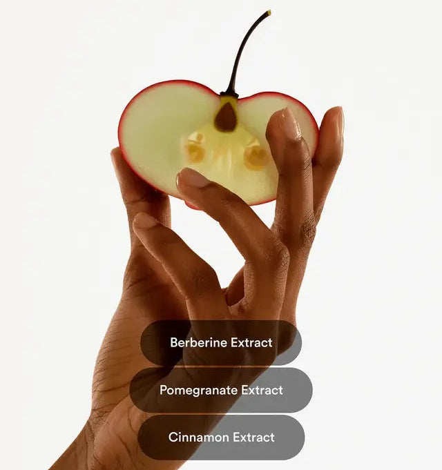 Kind Berberine Patches – 3 Pack | Vegan Metabolism Support (3-Month Supply)